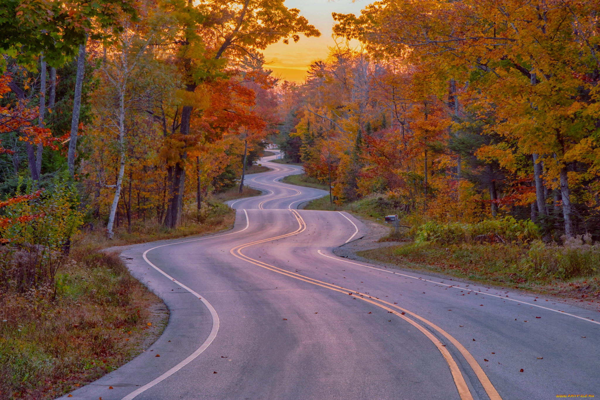 Осенняя дорога домой. Осенняя дорога. Красивые дороги. Лесная дорога. Дорога в осень.